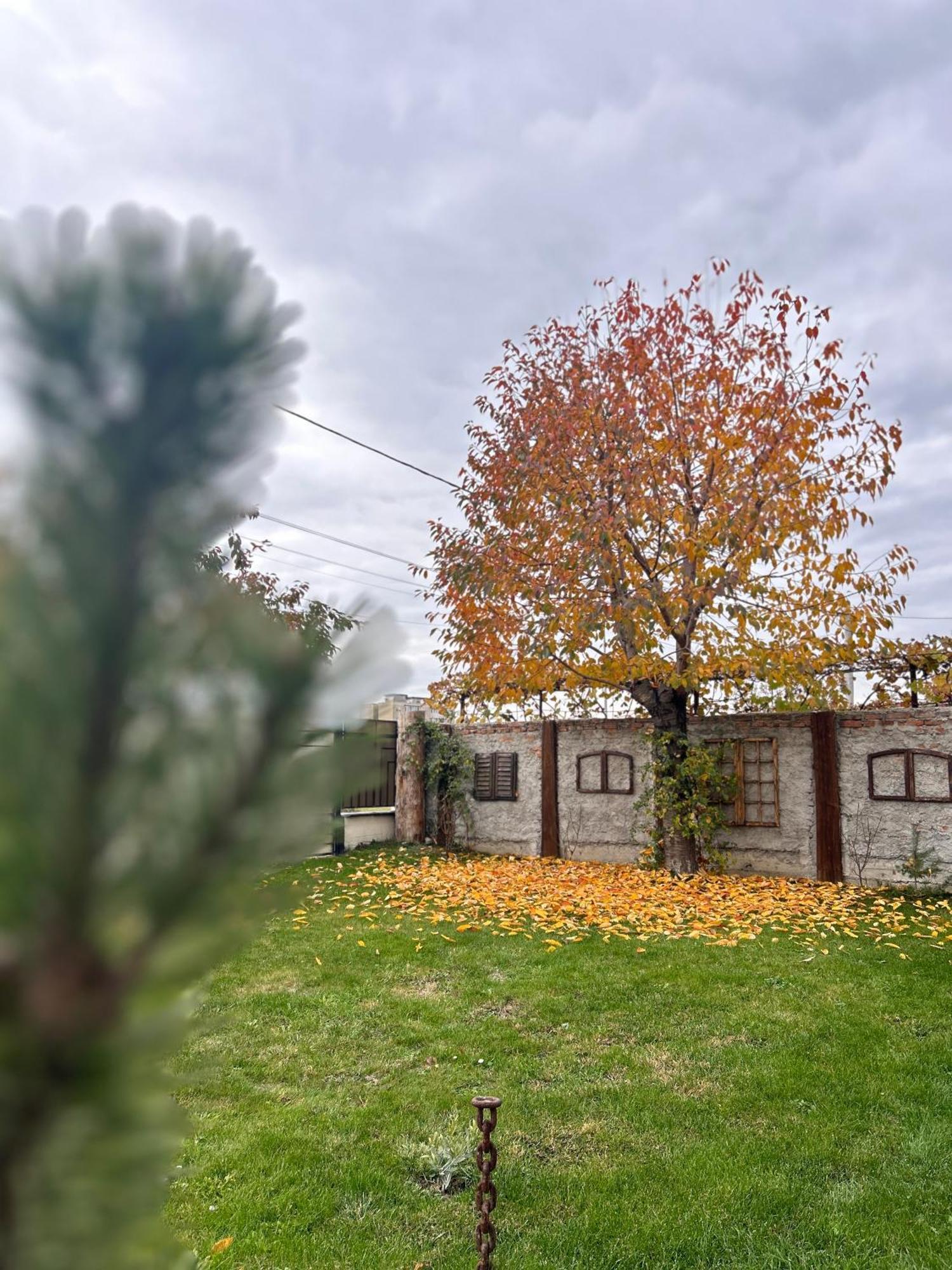 Like Home Rîşnov Kültér fotó